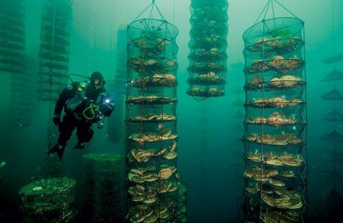Aquakultur3
