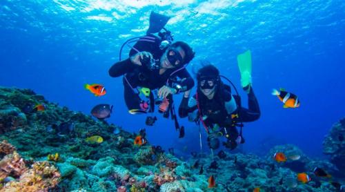 Diving2