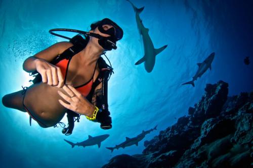 Diving3