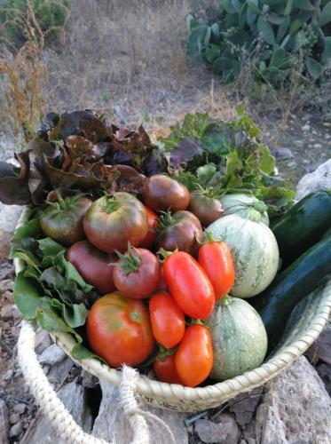 Food6