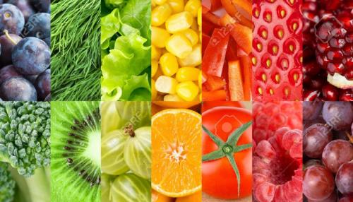 Freshfood3