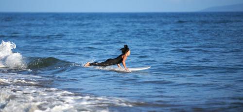 Surfing1 (1)