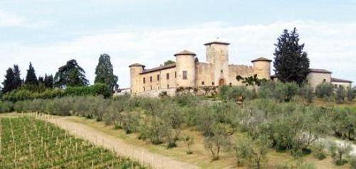 Weingut-Castello3
