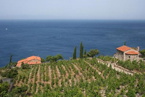 Weingut 2
