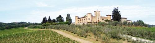 Weingut Castello2 (1)